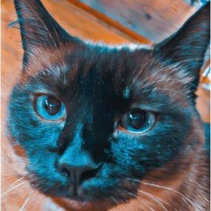 Meet your Posher, Riley